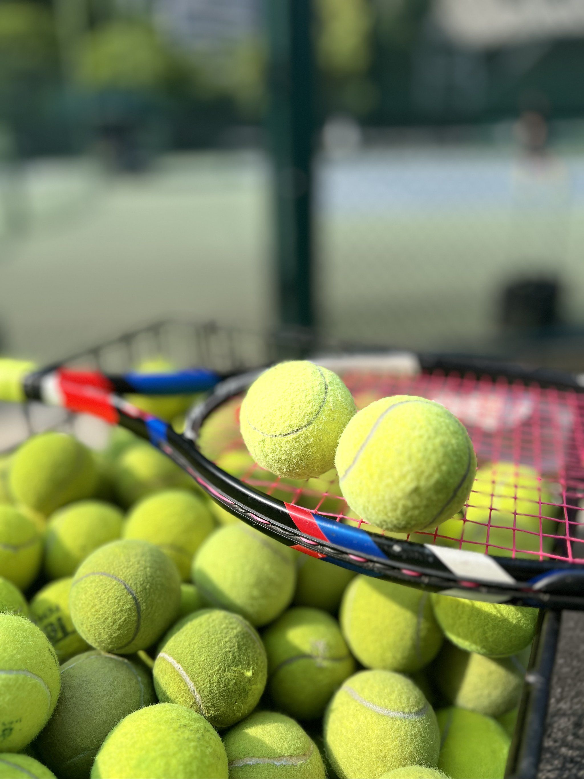 里的表态 里的表态